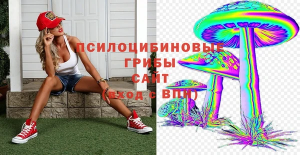 ПСИЛОЦИБИНОВЫЕ ГРИБЫ Козловка