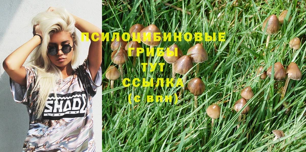 ПСИЛОЦИБИНОВЫЕ ГРИБЫ Козловка