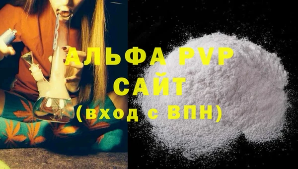 ПСИЛОЦИБИНОВЫЕ ГРИБЫ Козловка