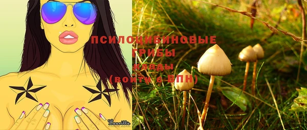ALPHA-PVP Кодинск