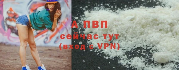 ПСИЛОЦИБИНОВЫЕ ГРИБЫ Козловка