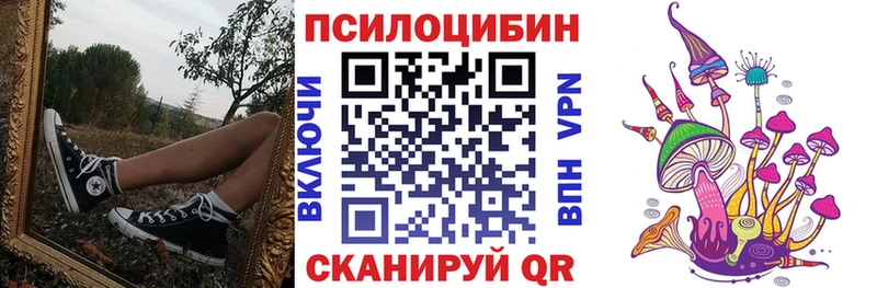 Купить где  Кириши  Галлюциногенные грибы MAGIC MUSHROOMS 